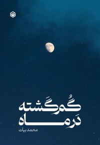 گم گشته در ماه